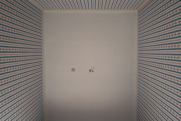 Replika historické tapety v šatně kněžny, nepodléhá CC